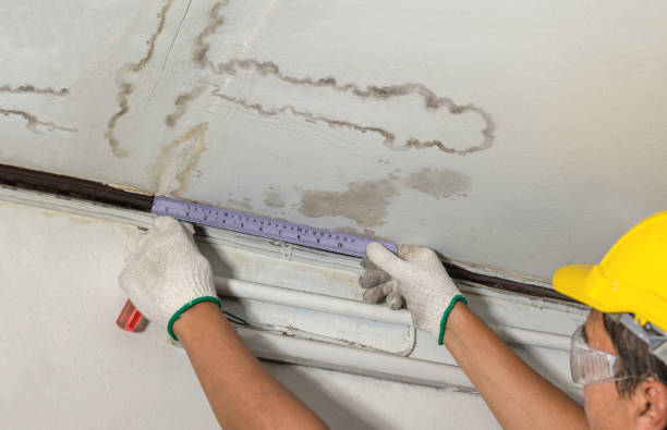 Reliable Burst Pipe Cleanup contractor in Milliken, CO by Water Damage Irwin